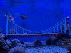 -太平洋海底世界