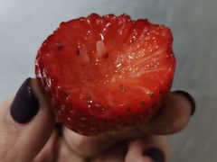 -城南综合水果批发市场(花园路店)