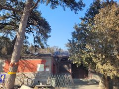 -阳台山自然风景区