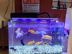 水产区-自贡盐帮菜·玩辣餐厅(樱花园西街店)
