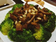 -五观堂素食(新华路店)