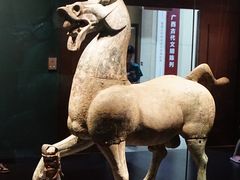 -广西壮族自治区博物馆