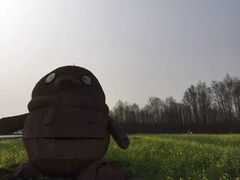 -桤木河湿地公园