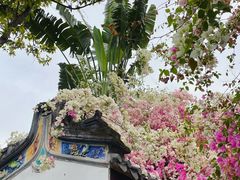 -深圳国际园林花卉博览园