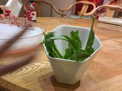 -尚海豆捞(乐虹坊店)