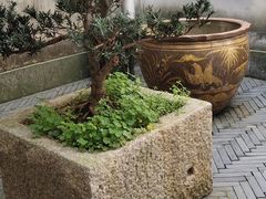 -新安江山水画廊风景区