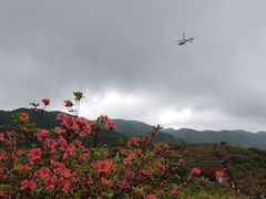 -大围山国家森林公园