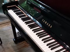 -圣典成人钢琴俱乐部(国贸旗舰校区)