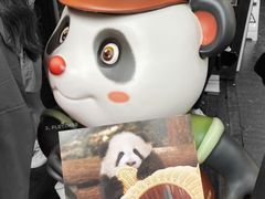 游乐设施-成都大熊猫繁育研究基地