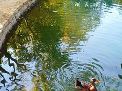 -三里河公园
