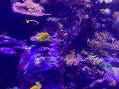 -香港海洋公园