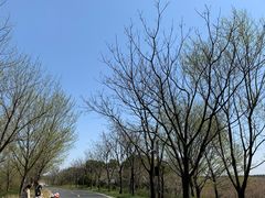 -同里国家湿地公园