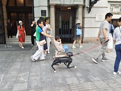 -上海外滩华尔道夫酒店