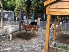 -长白岛森林公园