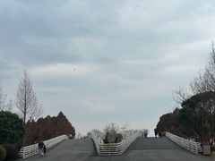 -贡湖湾湿地公园