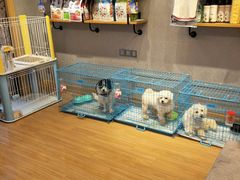 -犬也宠物造型(恒茂国际都会商业街店)