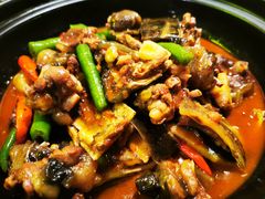 口味甲鱼-湘里乡亲甲王二老店