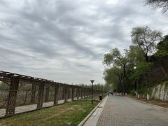 -北京张裕爱斐堡酒庄