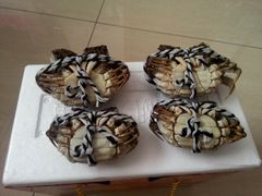 -小陆莲花蟹园农家乐(莲花岛店)
