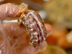 椒盐爆膏濑尿虾-阳江餐厅·30年老字号·粤菜海鲜大排档