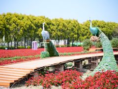 -广东花都香草世界旅游度假区