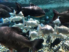 -成都浩海立方海洋公园