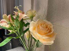 -Tomacado花厨(One ITC店)