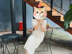 -Willing·Coffee&Brunch&Dinner(万达店)