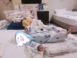 -明宇集团·积木枝芽母婴健康管理中心(天府店)
