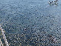 -青海湖二郎剑景区
