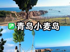 -小麦岛公园