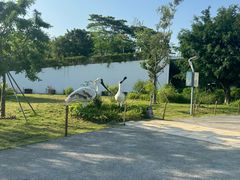 -福田红树林生态公园