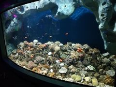 -福州罗源湾海洋世界旅游区