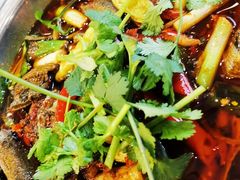 -高坎一品甲鱼庄(两河店)