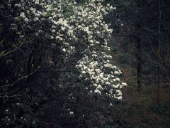 -黄公望隐居地