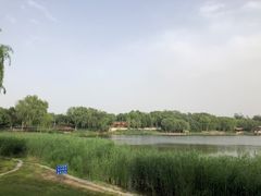 -北坞公园