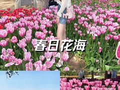 -石家庄市植物园