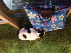 iphone_upload_pic-MIKAKU(万达广场上海宝山店)