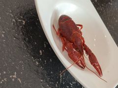 -周姑娘不等味·牛羊肉火锅·螃蟹罗氏虾·烤鱼烤串(高邮店)