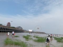 -奉贤海滩