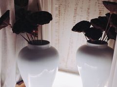 -巴蜀风·地道川菜(福田COCOPARK店)
