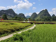 -靖西鹅泉风景区