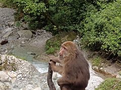 -峨眉山风景名胜区
