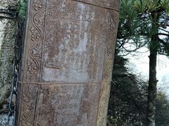 -秦岭风景区
