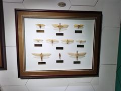 -上海昆虫博物馆