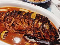 -阿五黄河大鲤鱼(纬三路店)