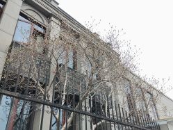 -北京大学第一医院妇产儿童医院