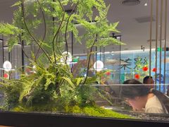 -绿茶餐厅(滨海万达广场店)