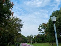 -尚贤河湿地
