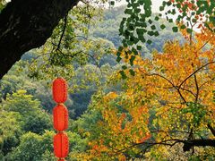 -云溪植物园